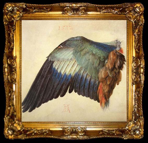 framed  Albrecht Durer Wing of a Blue Roller, ta009-2